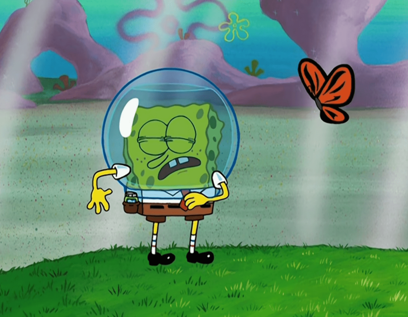 spongebob and butterfly