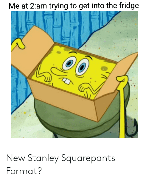 stanley squarepants format