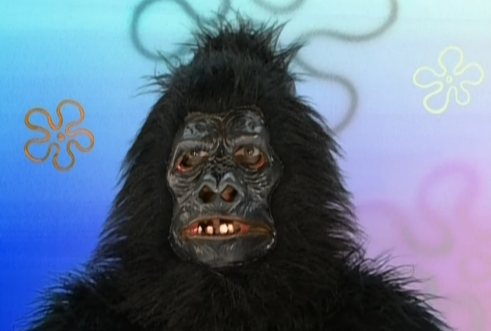 SpongeBob Gorilla Guide There s A Lot More To Him Than His Unique 