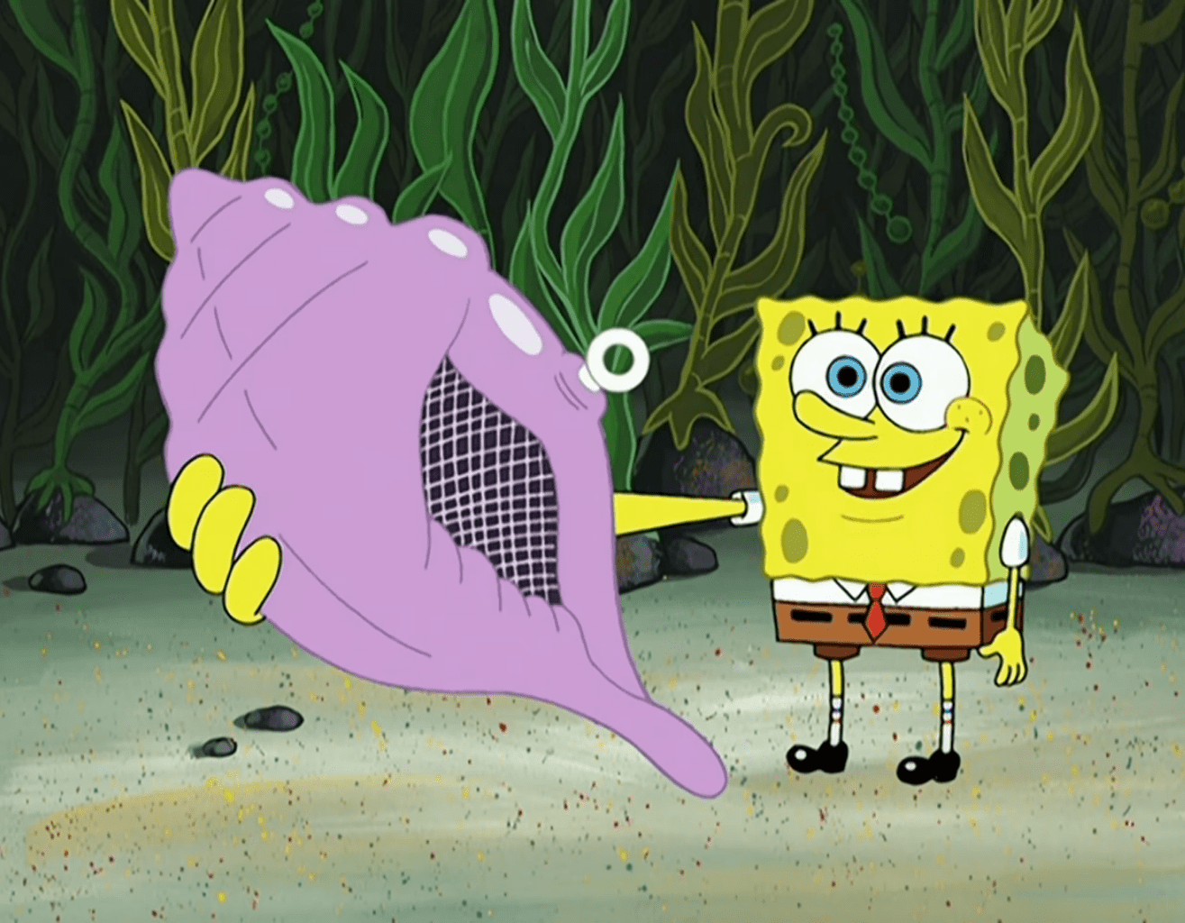 spongebob magic conch no