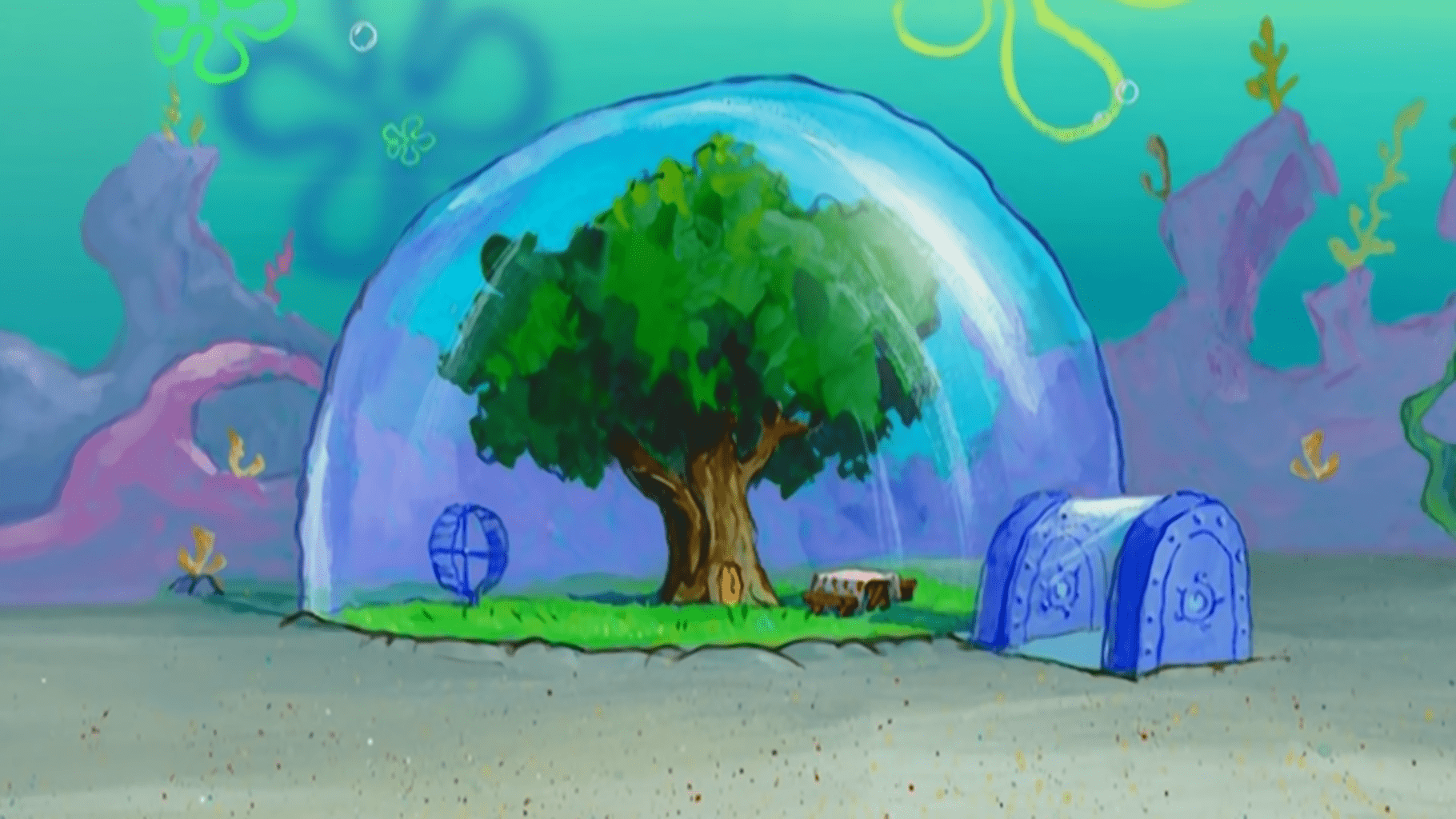 sandy's tree dome