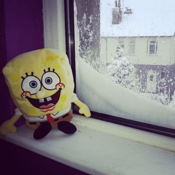 Spongebob Plushie